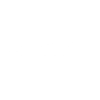 Ricoh-2