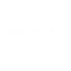 Xerox-2